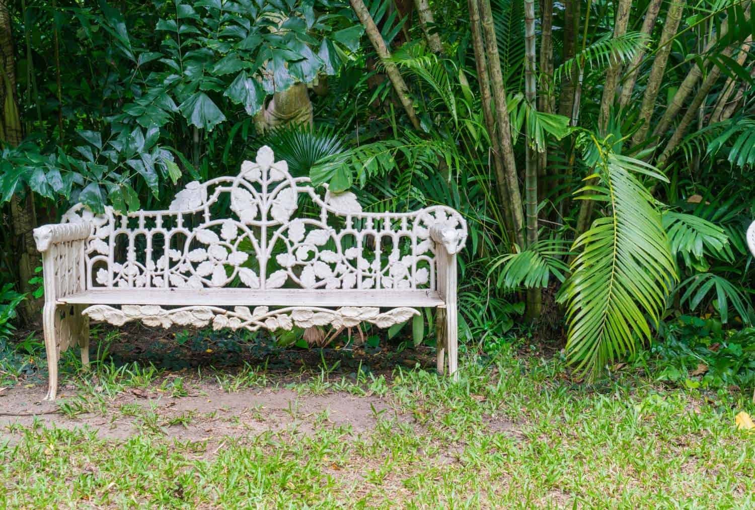 white metal garden bench in the garden